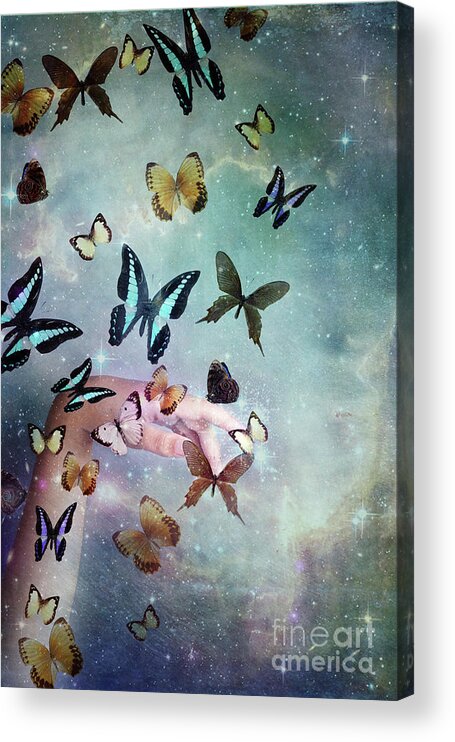 Butterfly Acrylic Print featuring the digital art Butterflies Reborn by Stephanie Frey
