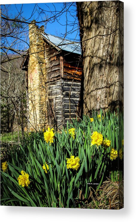Cabin Acrylic Print featuring the photograph Cabin Spring by Dale R Carlson