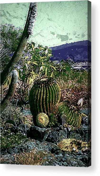 Cacti Acrylic Print featuring the photograph Cacti by Lori Seaman