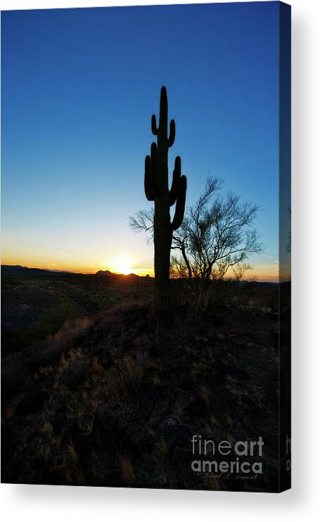 Cactus Acrylic Print featuring the photograph Cactus Silhouette Vertical by David Arment