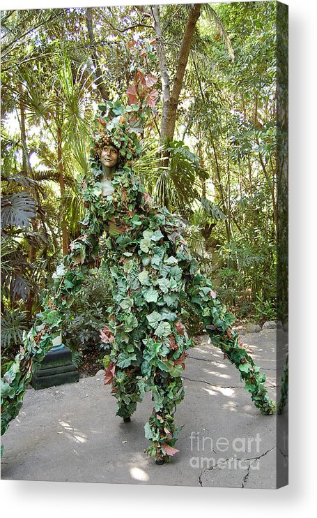 Disney World Acrylic Print featuring the photograph Camouflaged Tree Street Performer Animal Kingdom Walt Disney World Prints by Shawn O'Brien
