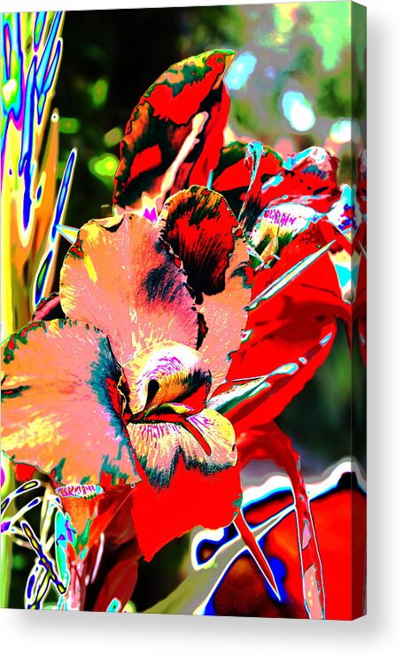 Floral Acrylic Print featuring the photograph Canna Abstract 7 by M Diane Bonaparte