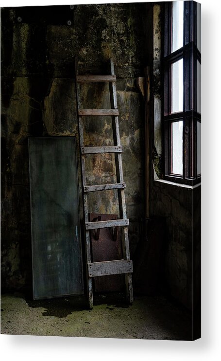 Iceland Acrylic Print featuring the photograph Cannery Ladder by Tom Singleton