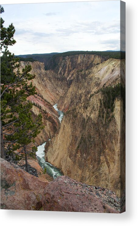 Grand Canyon Acrylic Print featuring the photograph Canyon River by Linda Kerkau