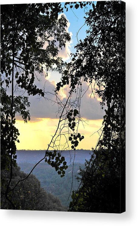 Landscape Acrylic Print featuring the photograph Canyon Sunset by Michele Myers