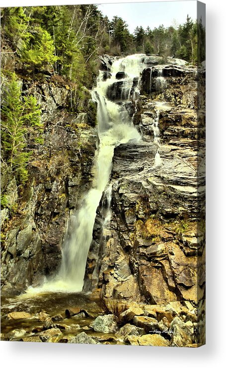 Waterfall Acrylic Print featuring the photograph Cascade in Rage by Harry Moulton