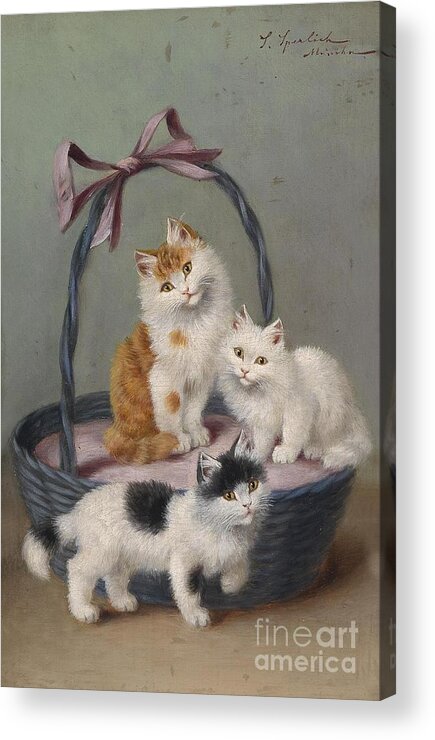 Sophie Sperlich Acrylic Print featuring the painting Cats in the basket by MotionAge Designs