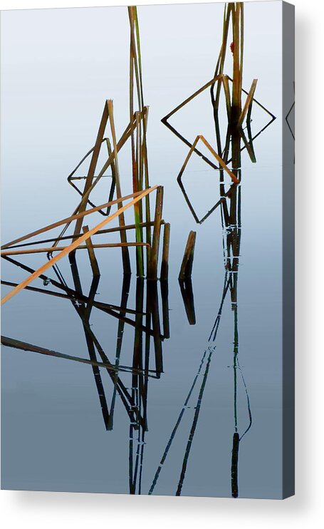 Cattails Acrylic Print featuring the photograph Cattails Reflecting by Frances Miller