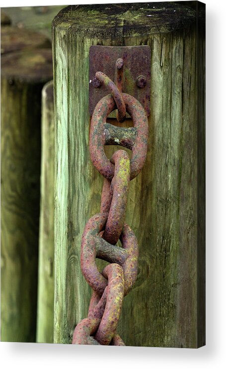 Chain Acrylic Print featuring the photograph Chained - 365-225 by Inge Riis McDonald