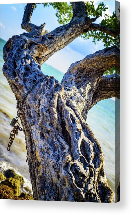 Atlantic Ocean Acrylic Print featuring the photograph Chained by Camille Lopez