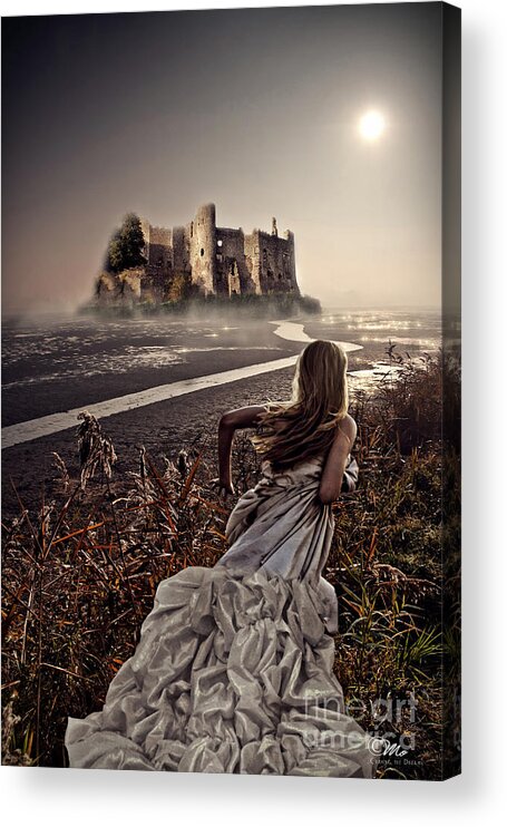 Chasing The Dreams Acrylic Print featuring the photograph Chasing the Dreams by Mo T