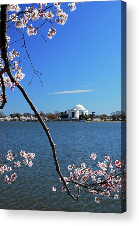 Washington Acrylic Print featuring the photograph Cherry Blossoms in DC by James Kirkikis