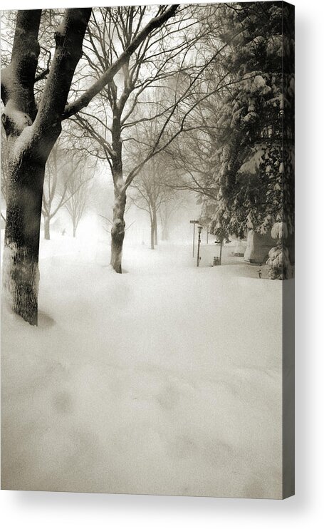 Sepia Acrylic Print featuring the photograph Chicago Blizzard 2011 by Joanne Coyle