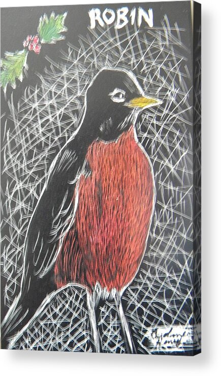 Robin Acrylic Print featuring the drawing Christmas Robin by Caroline Henry