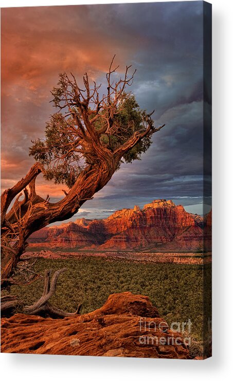 Dave Welling Acrylic Print featuring the photograph Clearing Storm And West Temple South Of Zion National Park by Dave Welling