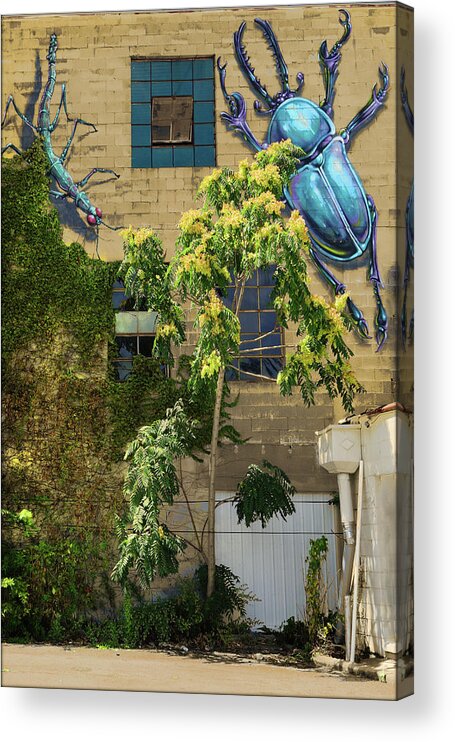 Architecture Acrylic Print featuring the photograph Climbers by John Anderson