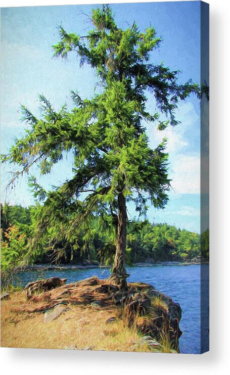 Tree Acrylic Print featuring the photograph Coastal View by Kathy Bassett
