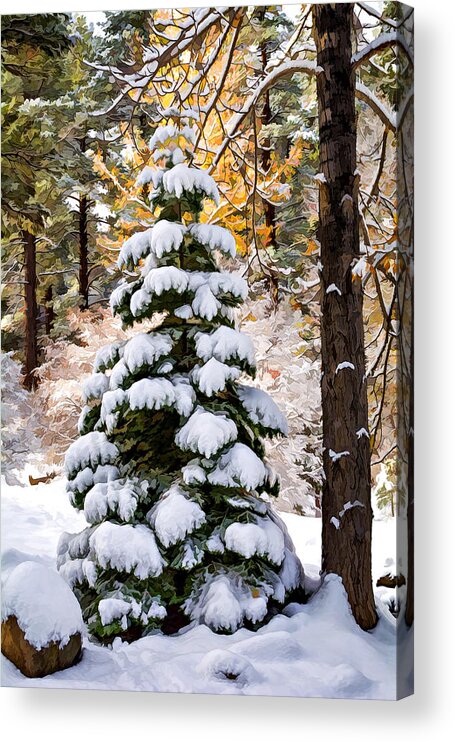 Background Acrylic Print featuring the photograph Cold Forest by Maria Coulson