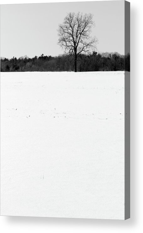 Snow Acrylic Print featuring the photograph Cold Winter Field BW by Mary Bedy