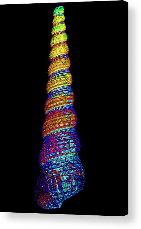 Digital Art Acrylic Print featuring the digital art Color Spiral by David Stasiak