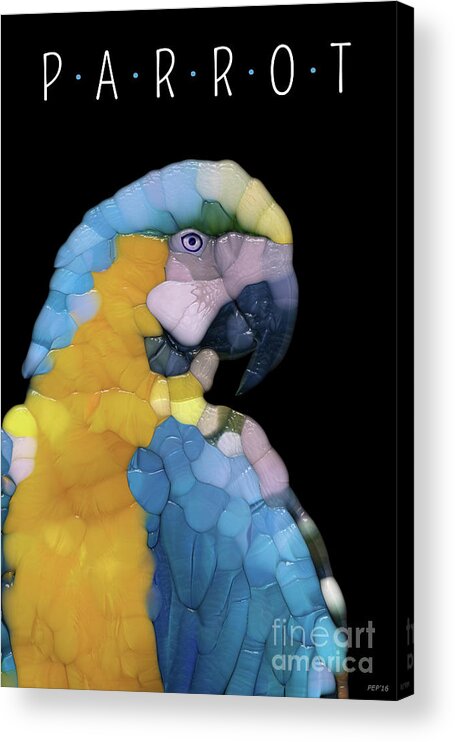 Parrot Acrylic Print featuring the digital art Colorful Glass Parrot by Phil Perkins