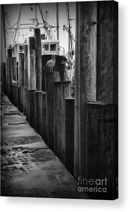Paul Ward Acrylic Print featuring the photograph Commercial Fishing Docks of NJ by Paul Ward