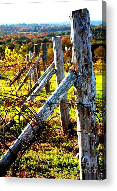 Gouviea Winery Acrylic Print featuring the photograph Connecticut Winery in Autumn by Pat Moore