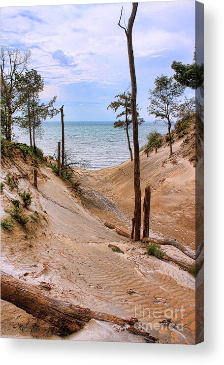 Lake Erie Acrylic Print featuring the photograph Contemplative Serenity by Cathy Beharriell