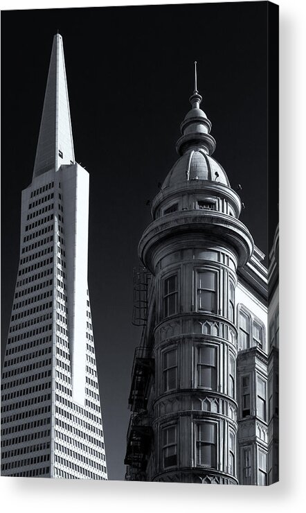 Contrast Acrylic Print featuring the photograph Contrast by Nicholas Blackwell