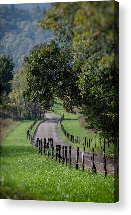Cades Cove Acrylic Print featuring the photograph County Road by Dmdcreative Photography