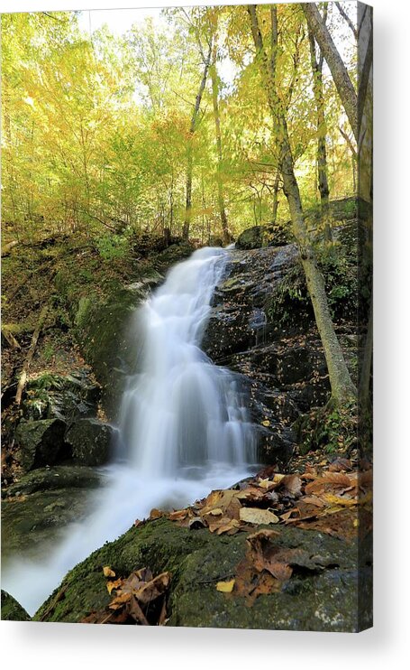 Photosbymch Acrylic Print featuring the photograph Crabtree Falls in the Fall by M C Hood