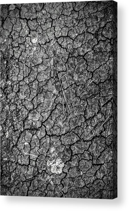 Cracked Ground Acrylic Print featuring the photograph Cracked by Michael Brungardt