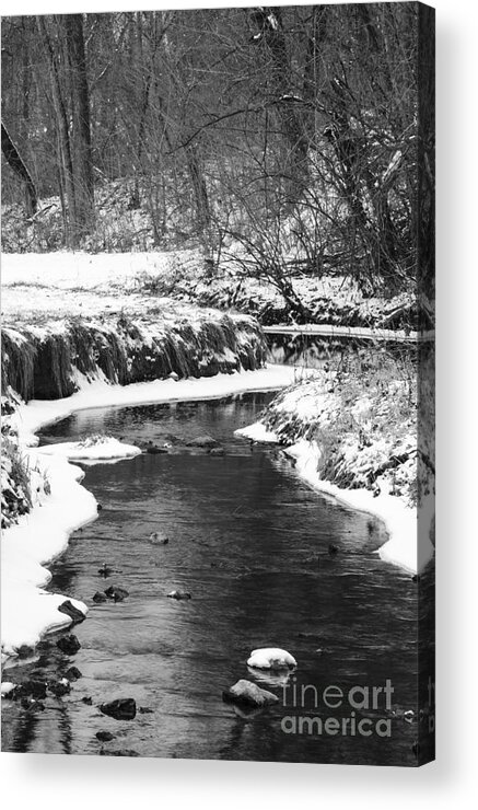 Creek Acrylic Print featuring the photograph Creek In The Woods In Winter by Tamara Becker