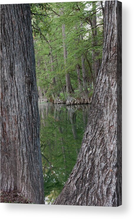 Photo Of Riverside View Along The Banco River Acrylic Print featuring the photograph Creek Reflections by James Woody