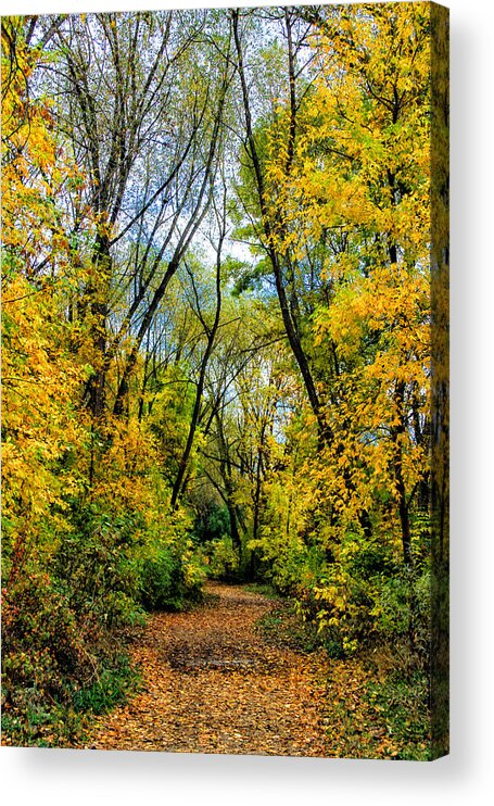 Fall Leaves Acrylic Print featuring the photograph Crunchy Leaves by Juli Ellen