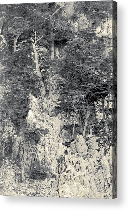 Cypress Acrylic Print featuring the digital art Cypress Strewn Cliff, Carmel Bay, Point Lobos, State Park Carmel, California by Kathy Anselmo