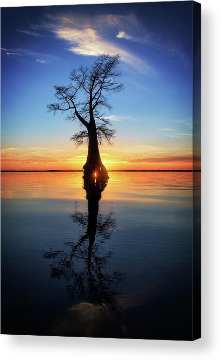 Tree Acrylic Print featuring the photograph Cypress Sunset Reflection by Alan Raasch