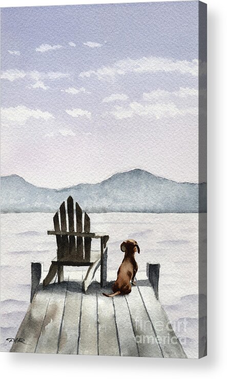 Dachshund Acrylic Print featuring the painting Dachshund on the Dock by David Rogers