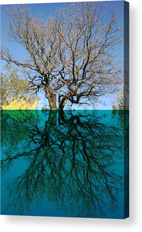 Dancers Acrylic Print featuring the mixed media Dancers Tree Reflection by Julia Woodman