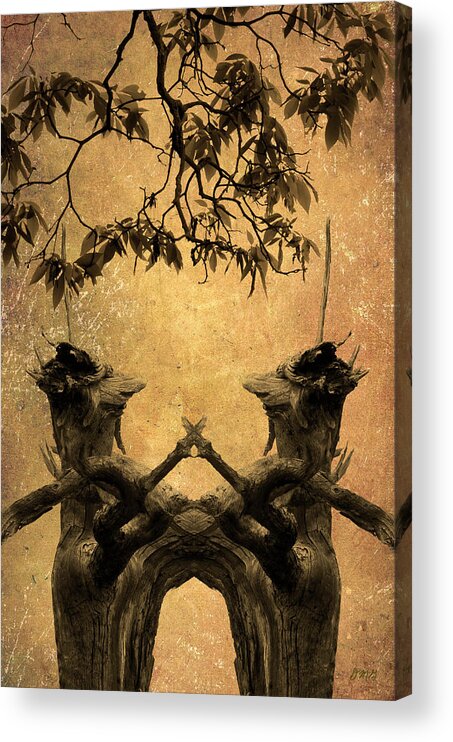 Image Acrylic Print featuring the photograph Dancing Trees by David Gordon