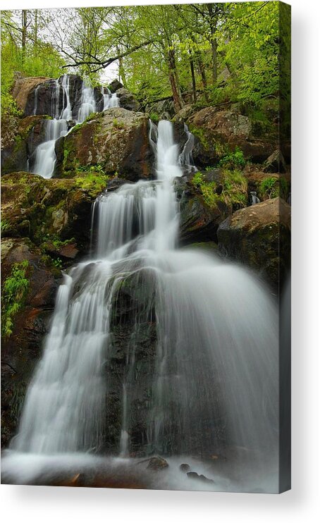 Waterfall Acrylic Print featuring the photograph Dark Hollow Falls - Shenandoah #2 by Stephen Vecchiotti