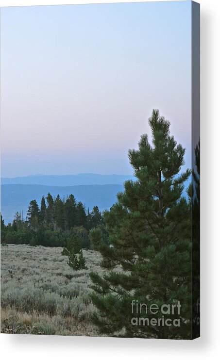 Mountain Acrylic Print featuring the photograph Daybreak on the Mountain by Cindy Schneider