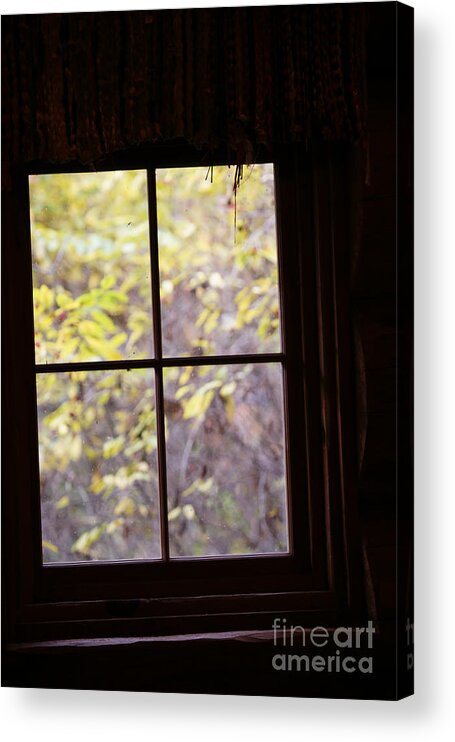 Window Acrylic Print featuring the photograph Daydream by Linda Shafer