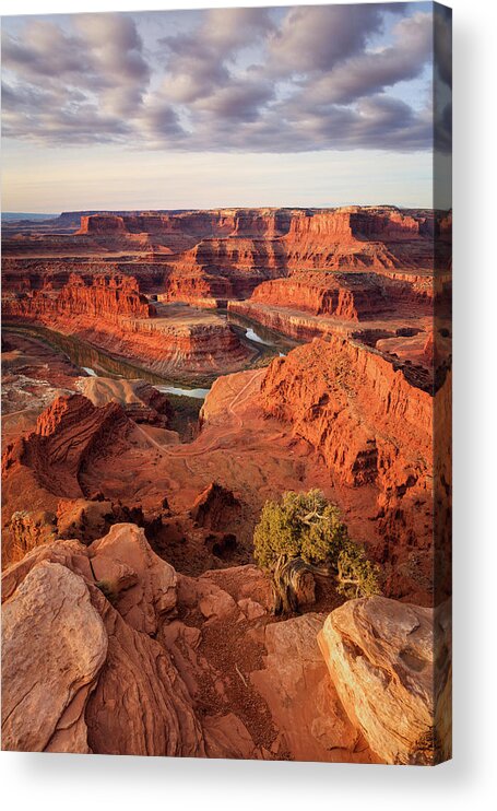 Dead Horse Point Acrylic Print featuring the photograph Dead Horse Point Vertical by Wasatch Light