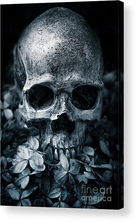 Morbid Acrylic Print featuring the photograph Death Comes to Us All by Edward Fielding