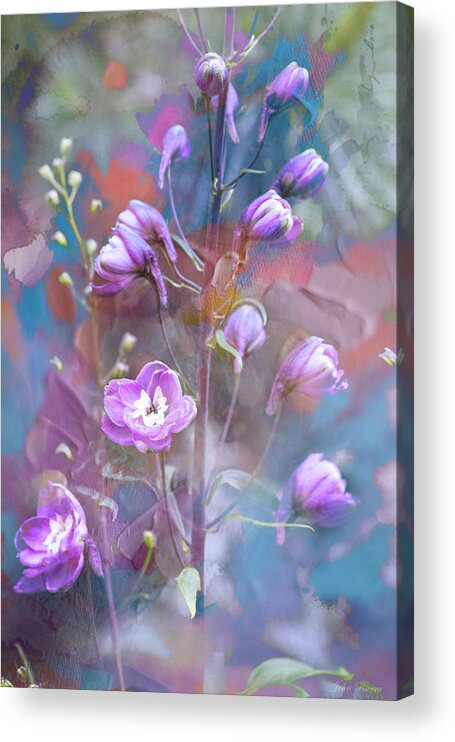 Flowers Acrylic Print featuring the photograph Delphinium Dream by John Rivera