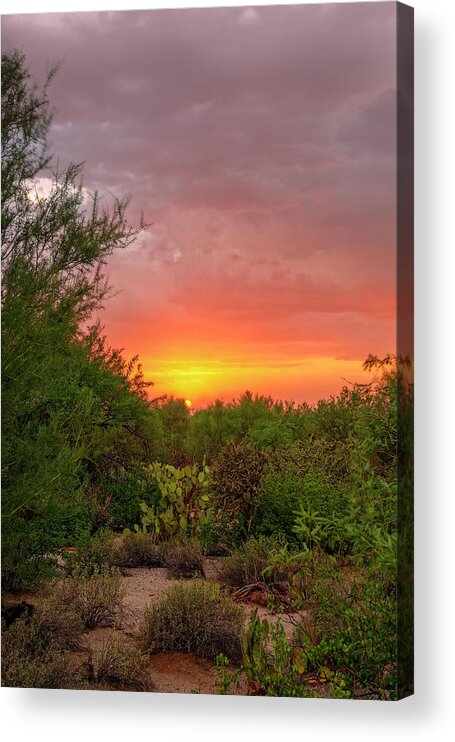 Sun Acrylic Print featuring the photograph Desert Sunset v1836 by Mark Myhaver