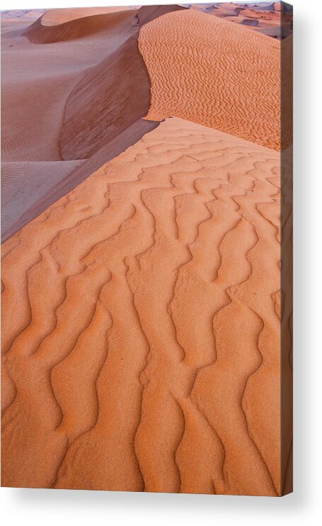 Oman Acrylic Print featuring the photograph Desert Textures by Barbara Kyne