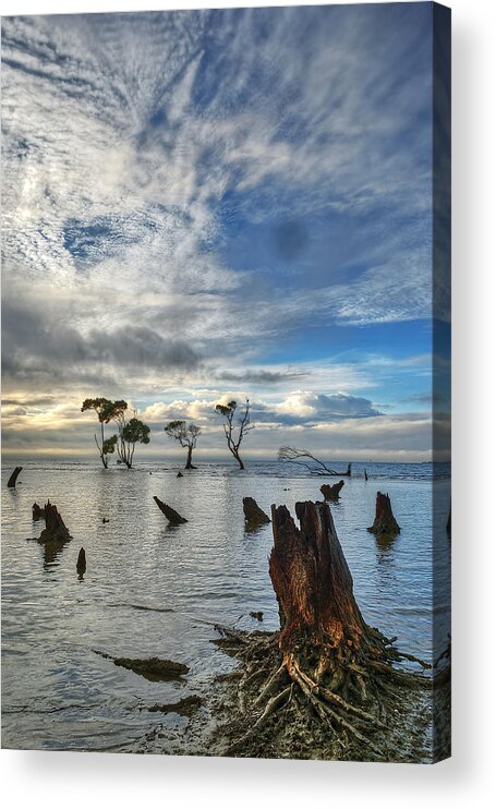 2015 Acrylic Print featuring the photograph Desolation by Robert Charity