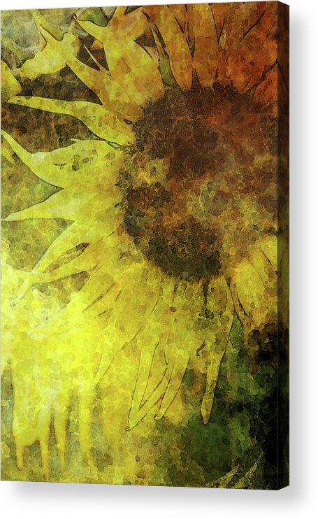 Lost Acrylic Print featuring the photograph Digital Lost Watercolor Bee and Sunflower 2248 LW_2 by Steven Ward
